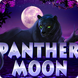 Онлайн Гейминатор Panther Moon (Лунная Пантера) играть